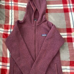 Patagonia sweater hoody